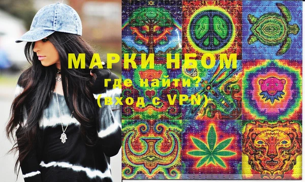 прущие грибы Сатка