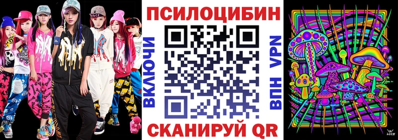 Псилоцибиновые грибы мицелий  Купить где  Сортавала 